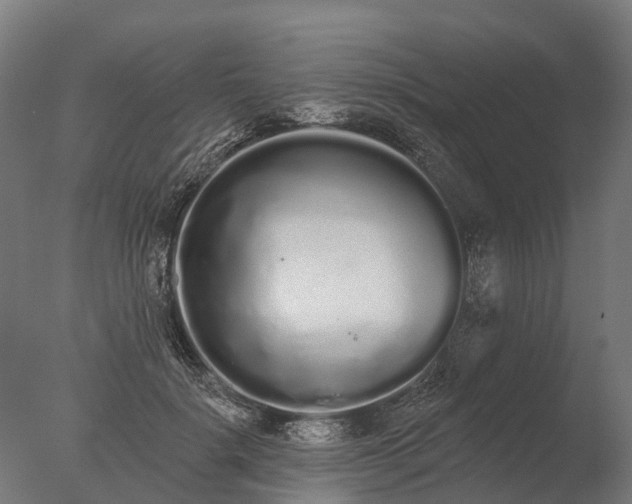 X0000076420652200610161128