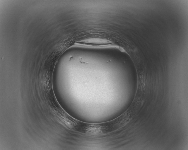 X0000076420653200610161128