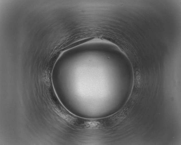 X0000076420654200610161128