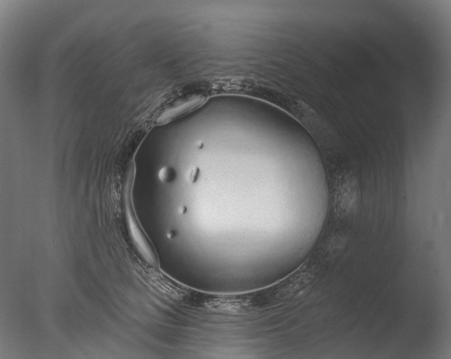 X0000076420661200610161128