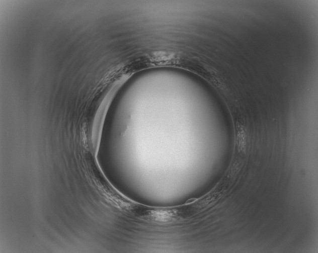 X0000076420662200610161128