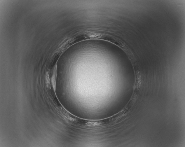 X0000076420667200610161128