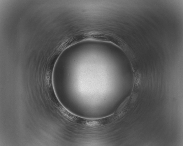 X0000076420669200610161128