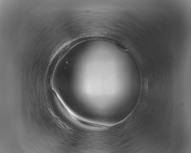 X0000076420676200610161127
