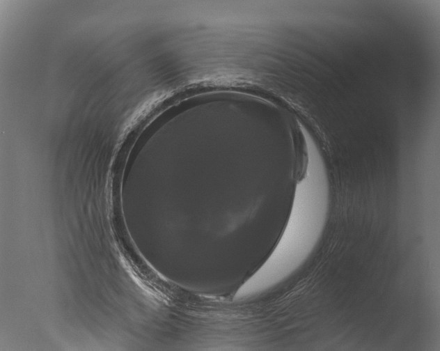 X0000076420678200610161127