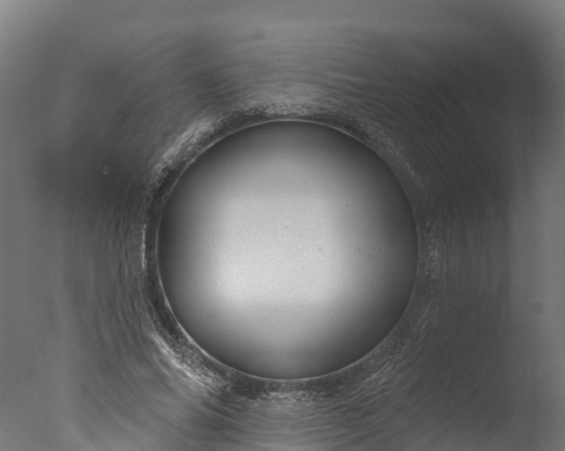 X0000076420686200610161127
