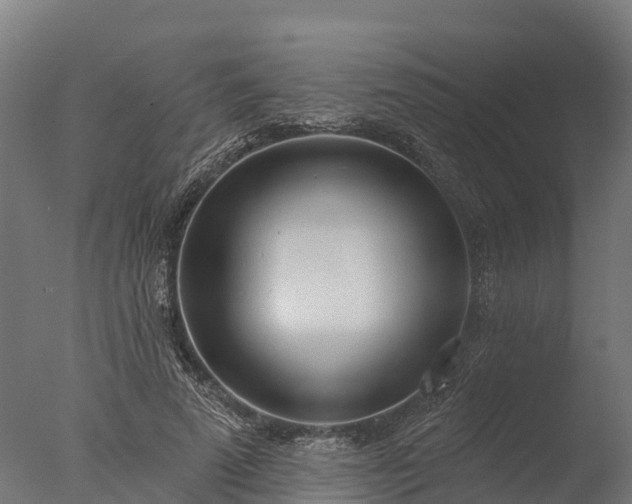 X0000076420689200610161127