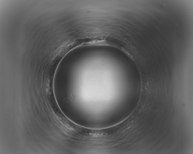 X0000076420693200610161127