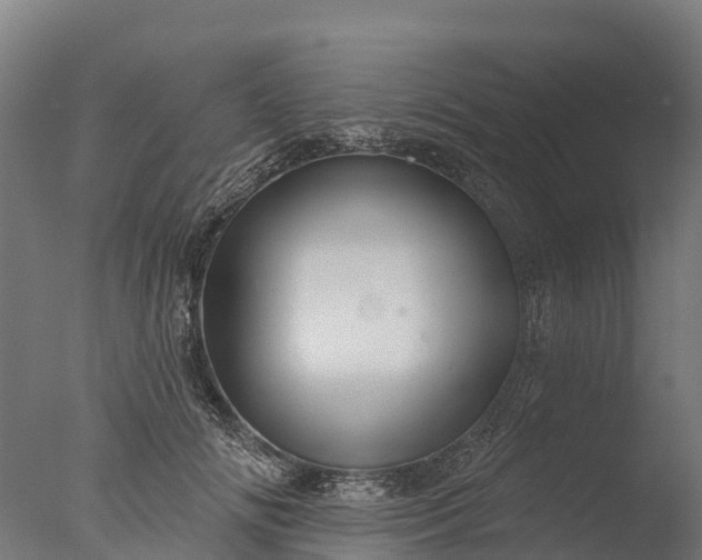 X0000076420702200610161127