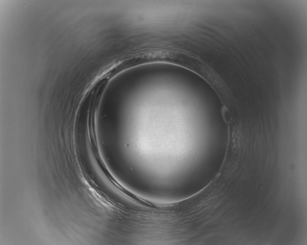 X0000076420722200610161126
