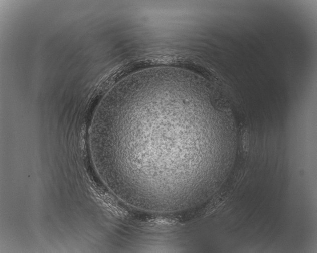 X0000076420737200610161126