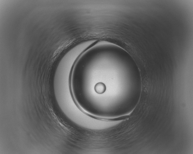 X0000076420740200610161126