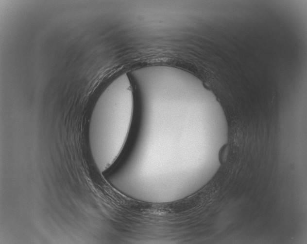 X0000076420743200610161126