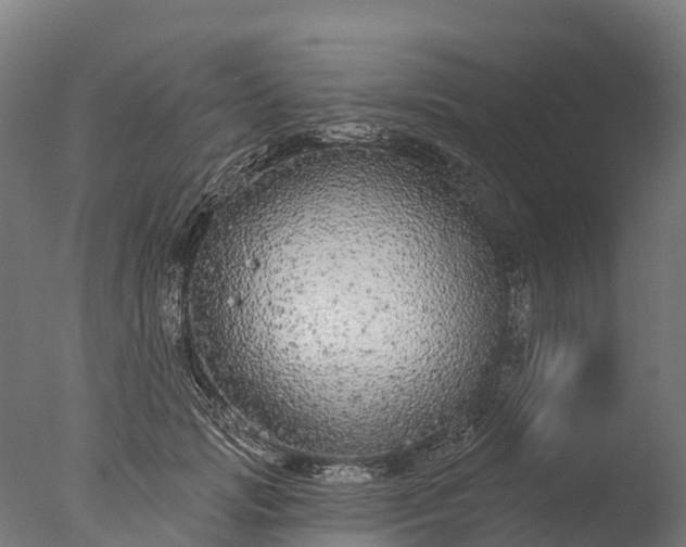 X0000076420749200610161126