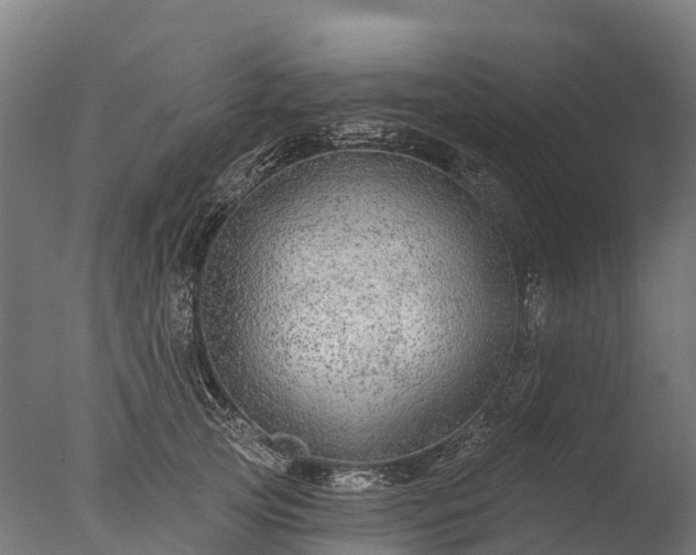 X0000076420753200610161126