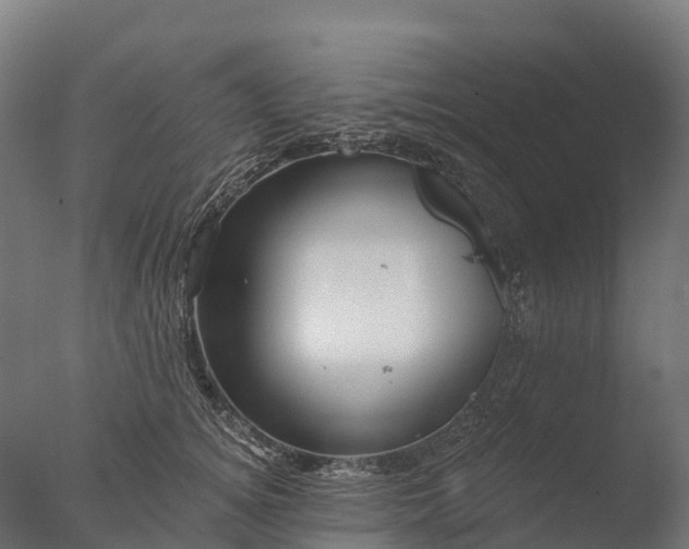 X0000076420756200610161126