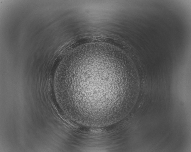 X0000076420757200610161126