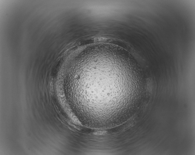 X0000076420761200610161126