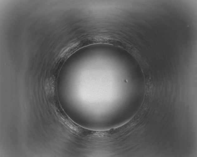 X0000076420762200610161126