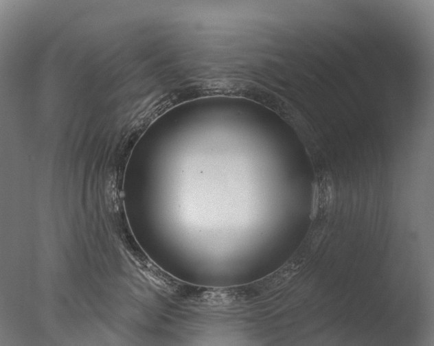 X0000076420764200610161126