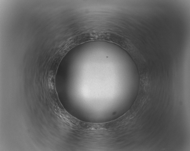 X0000076420770200610161126