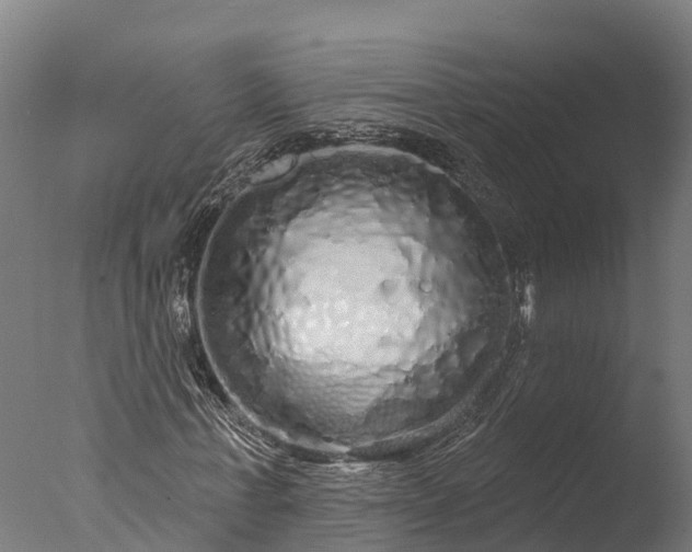 X0000076420771200610161126