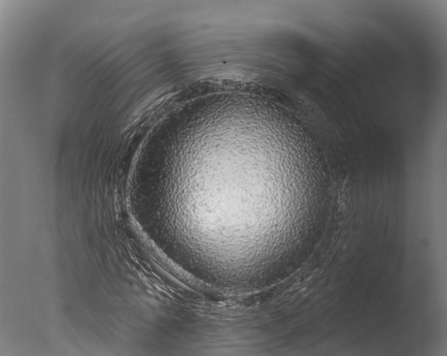 X0000076420774200610161126