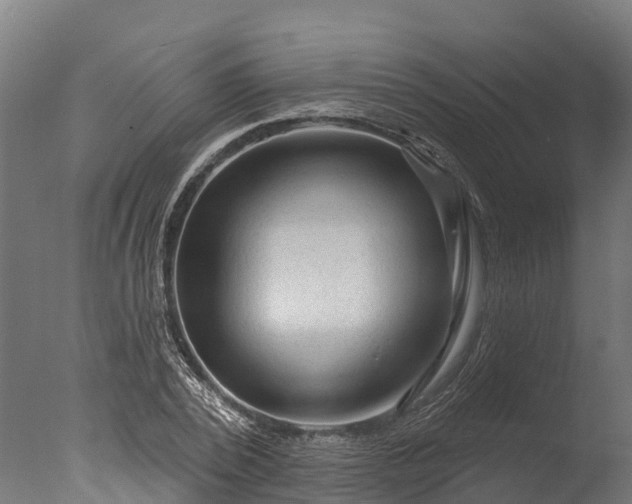 X0000076420784200610161125