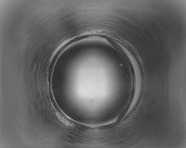 X0000076420792200610161125