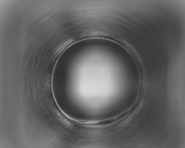 X0000076420793200610161125