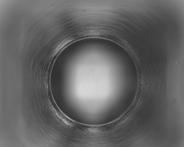 X0000076420794200610161125