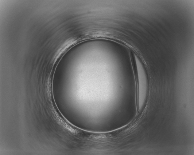 X0000076420798200610161125
