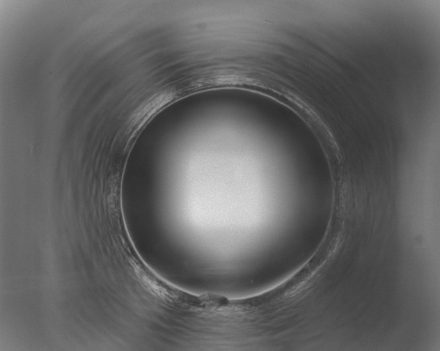 X0000076420801200610161125