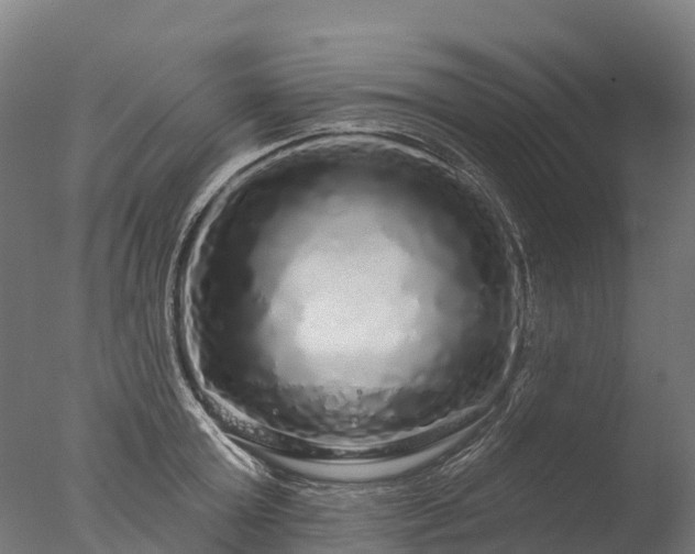 X0000076420803200610161125