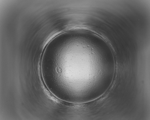 X0000076420814200610161125