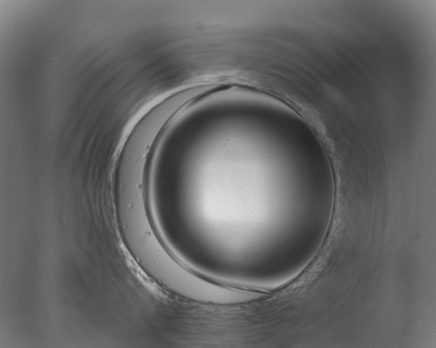 X0000076420816200610161125