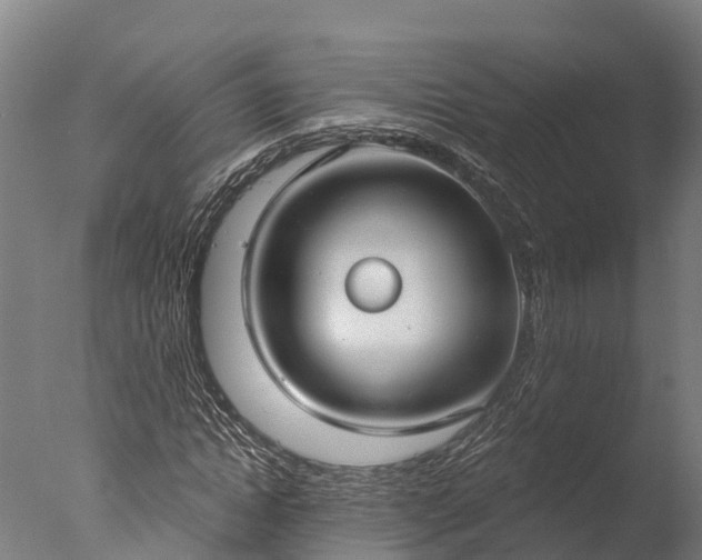 X0000076420822200610161124