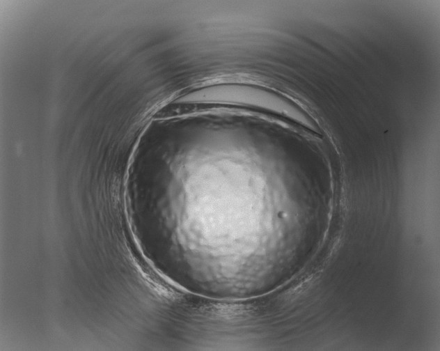 X0000076420849200610161125