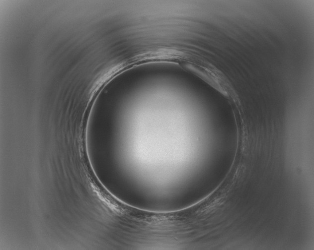 X0000076420850200610161125