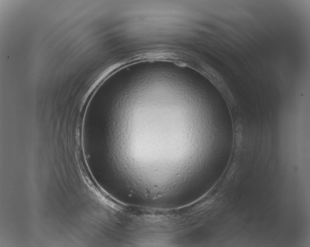 X0000076420852200610161125