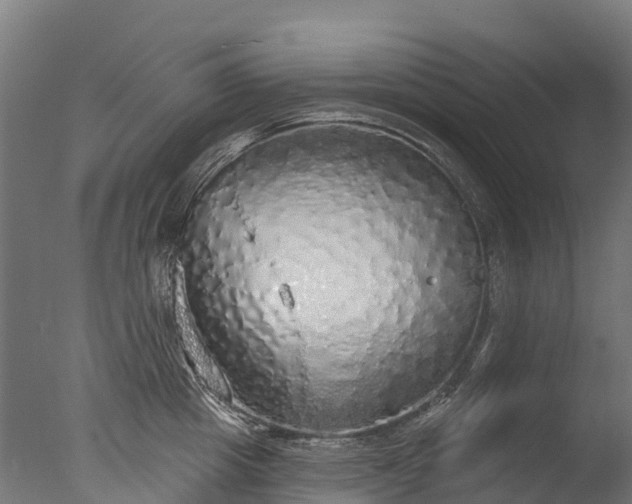 X0000076420857200610161125