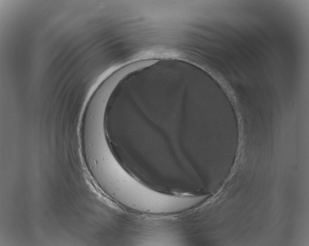 X0000076420864200610161125