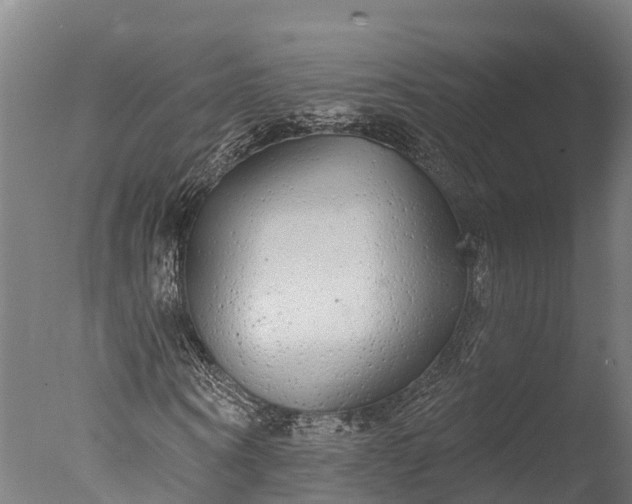 X0000076420866200610161124