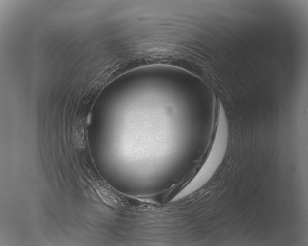 X0000076420868200610161124