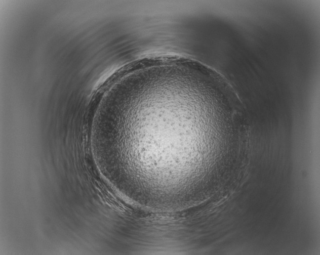 X0000076420871200610161124