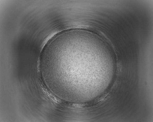 X0000076420875200610161124