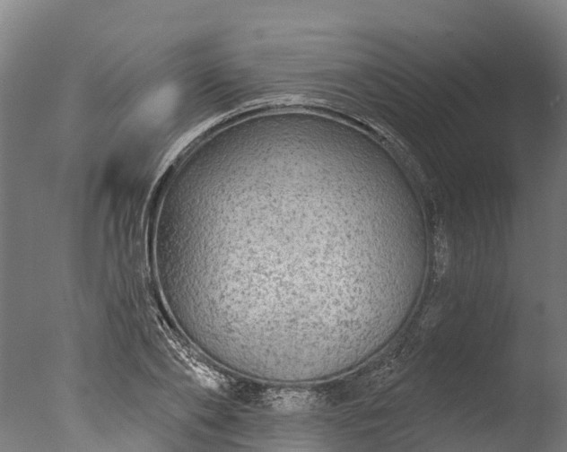 X0000076420886200610161124