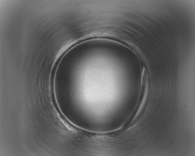 X0000076420894200610161124