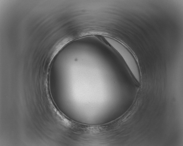 X0000076420906200610161123