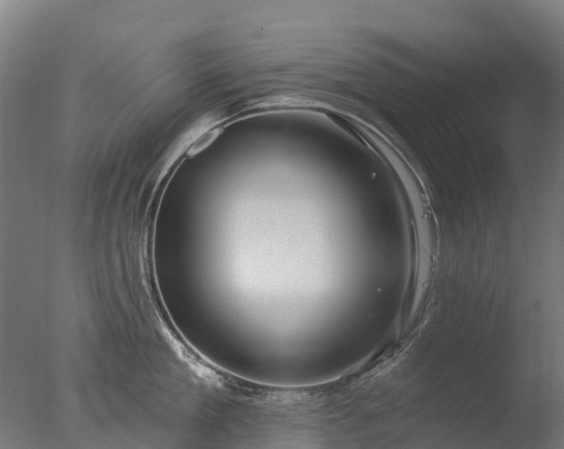X0000076420909200610161123